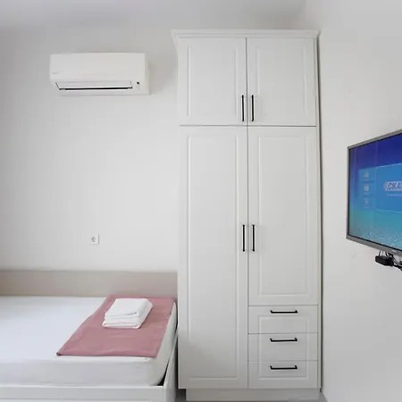 за гости стела *