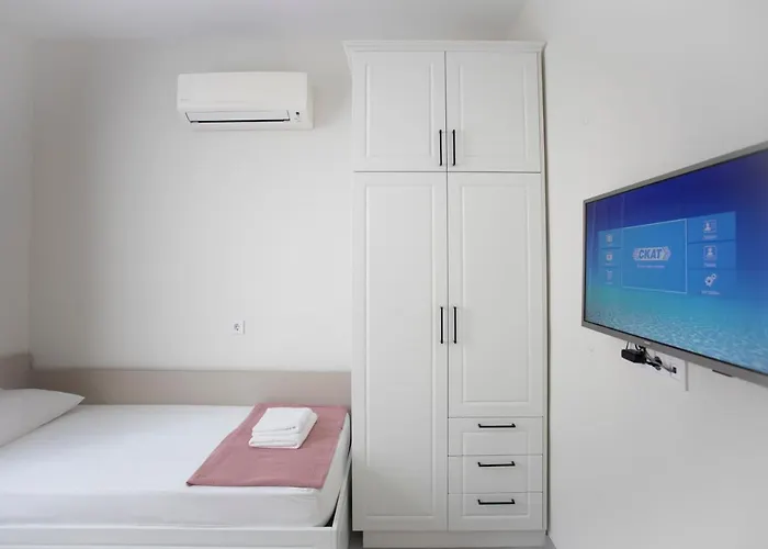 за гости стела *